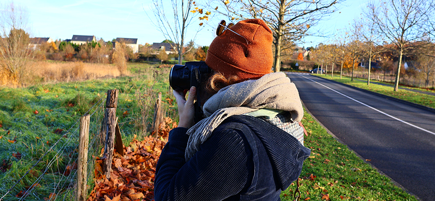 Initiation à la photographie animalière